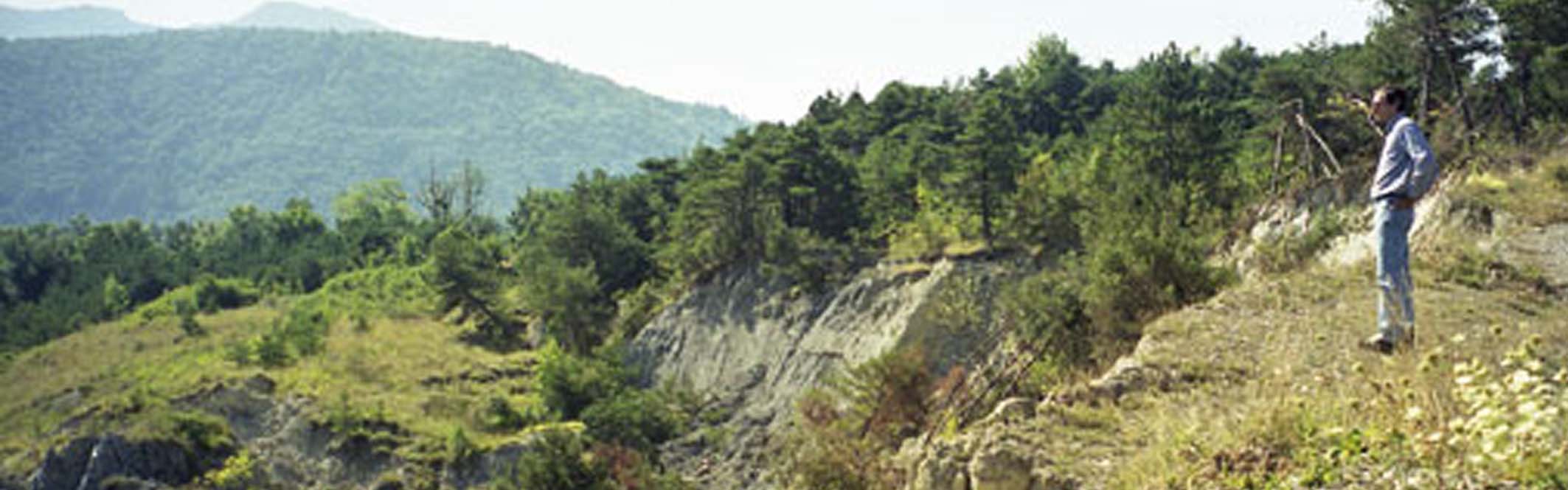 Avignonet/Harmalière landslides: main scarp in 2001 afer a  major reactivation